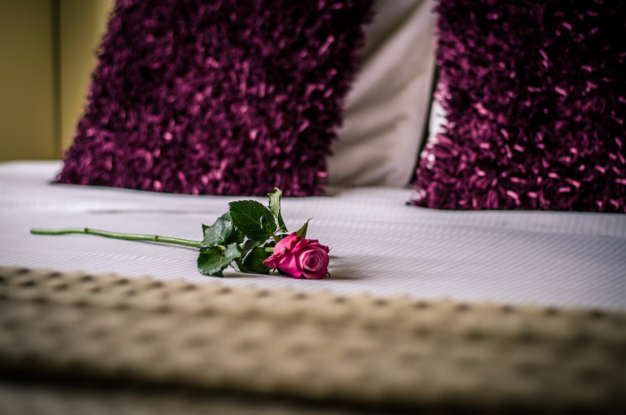 Hotel Botaniek Μπριζ Εξωτερικό φωτογραφία